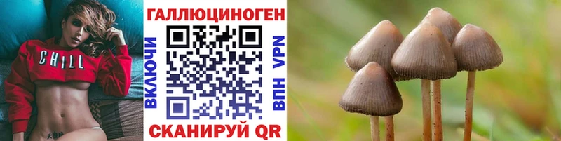 Галлюциногенные грибы Magic Shrooms  Бугуруслан 